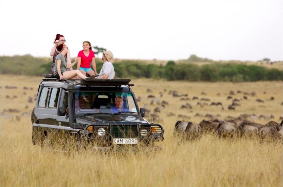 Mara-Safari-lancruiser-safari