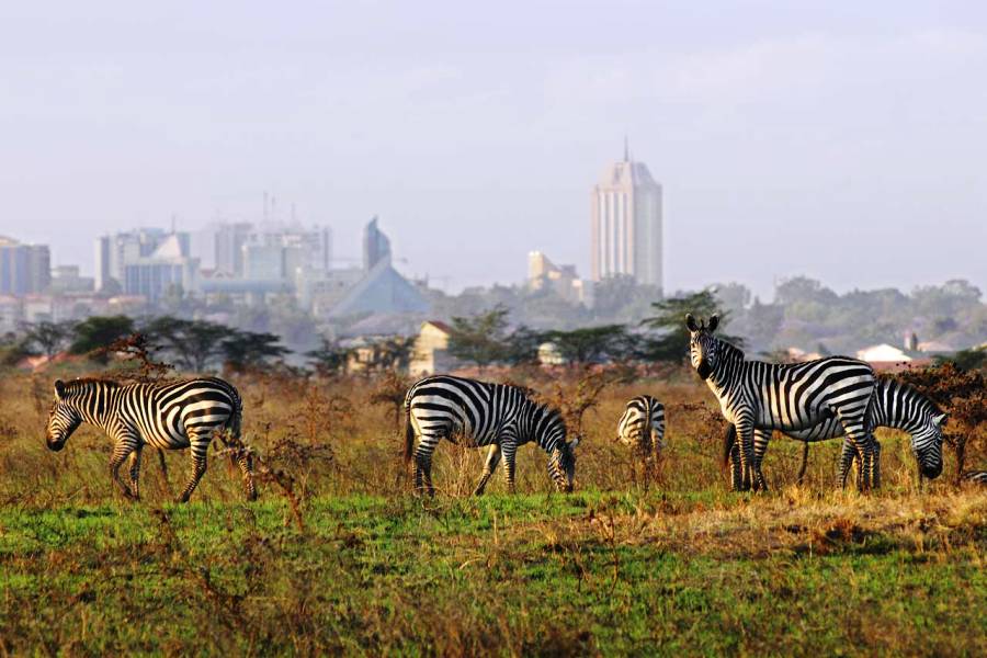 Nairobi-National-Park4